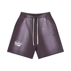 Sun Fade Distressed Shorts